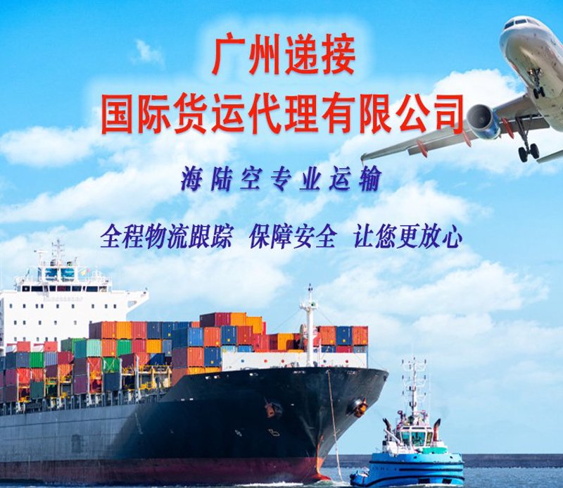 绿也科技有限公司：从初创到行业领袖的故事