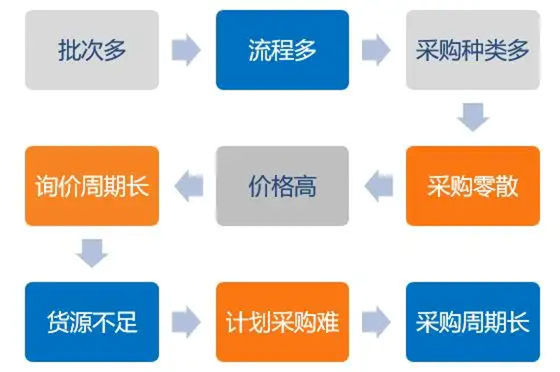 访谈记录：北京绿也与广东绿也的生态共舞